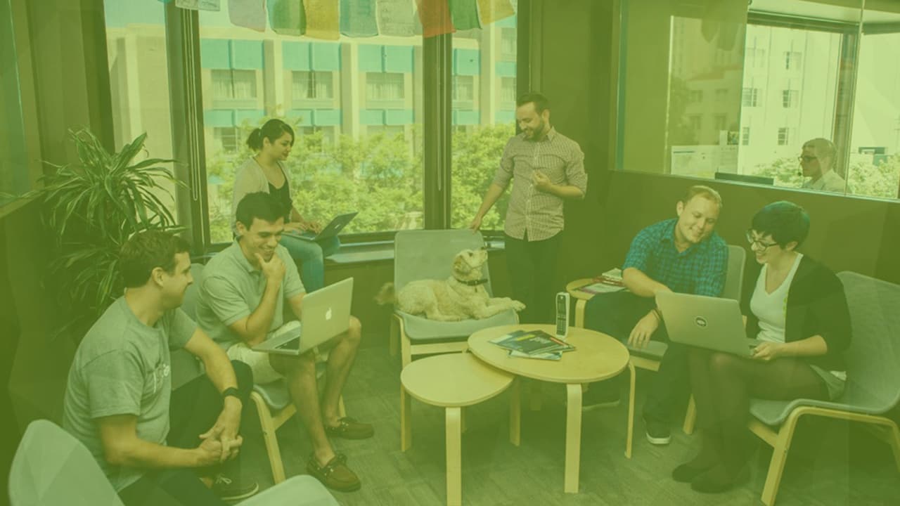 about solidprofessor