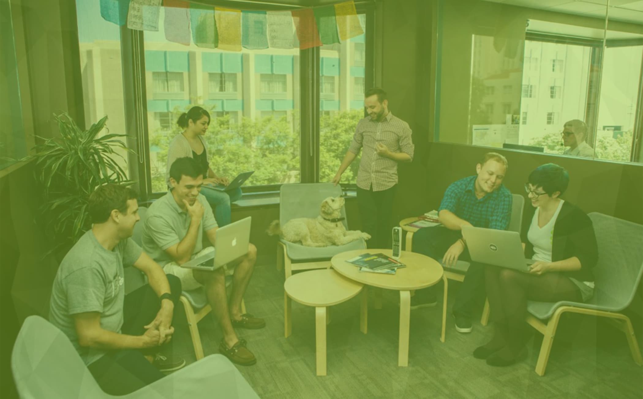 the solidprofessor team