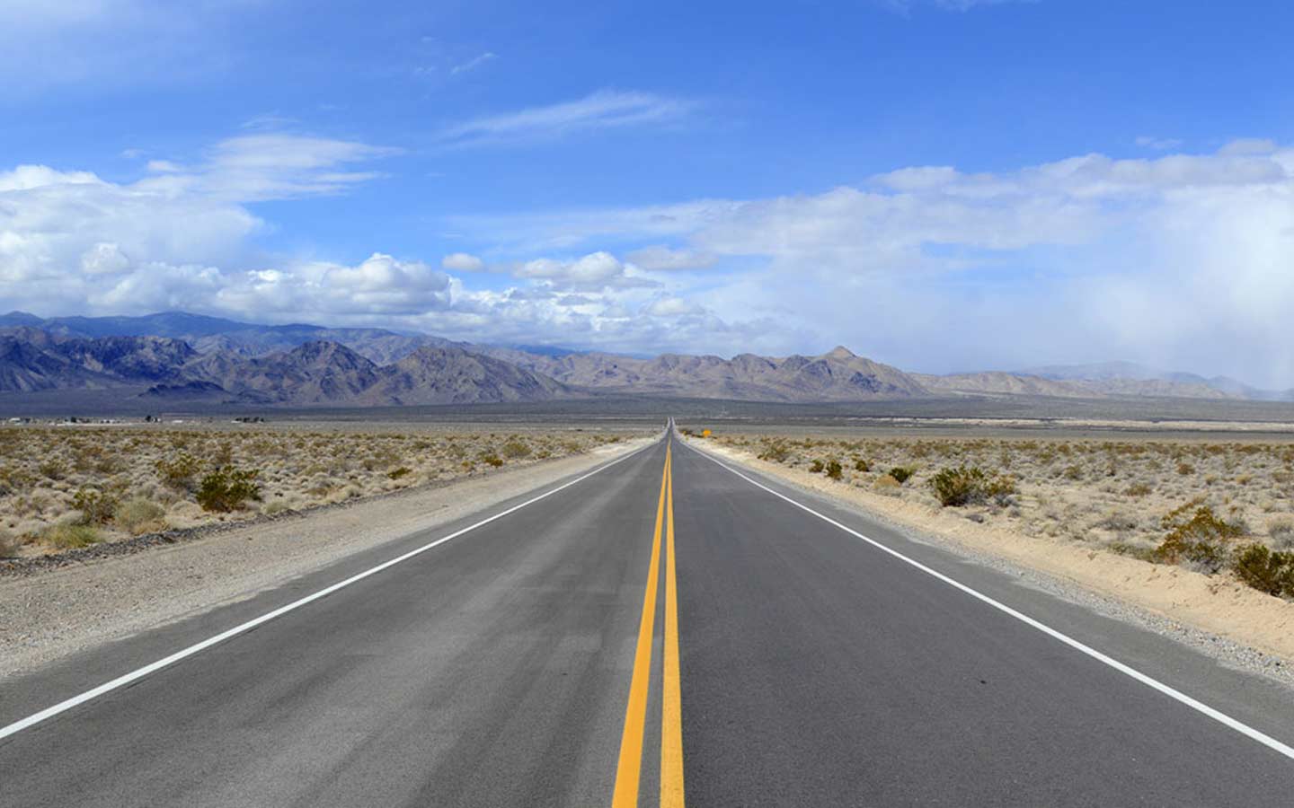 Professional Development Roadmap