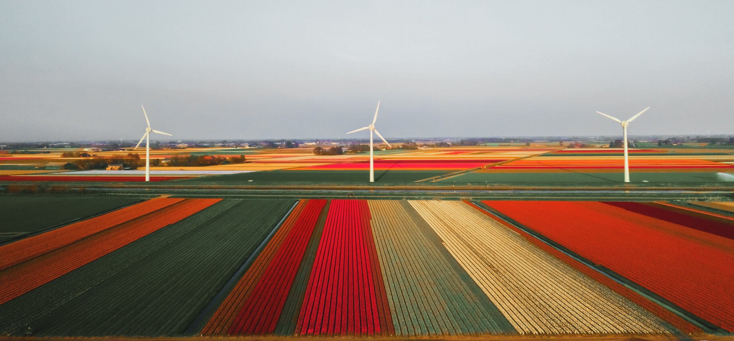Wind energy in the Netherlands