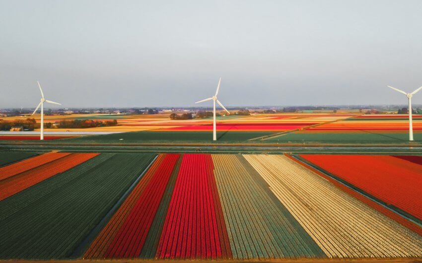Wind energy in the Netherlands