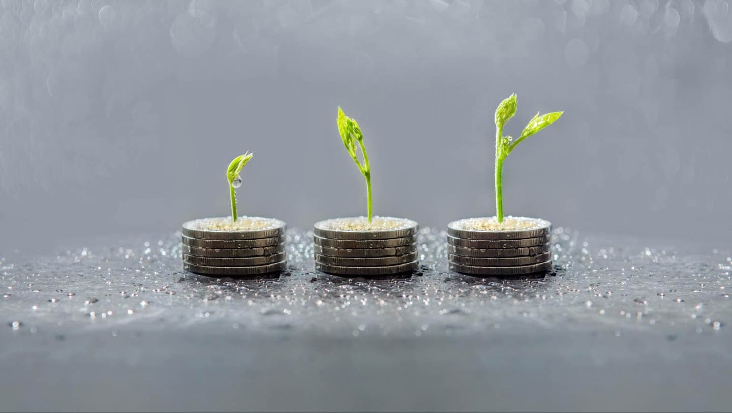 How to Apply for Perkins Grant Funding